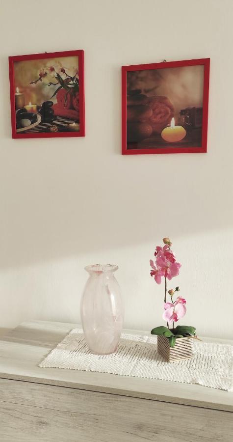 ローマLa Casa Di Danyアパートメント エクステリア 写真